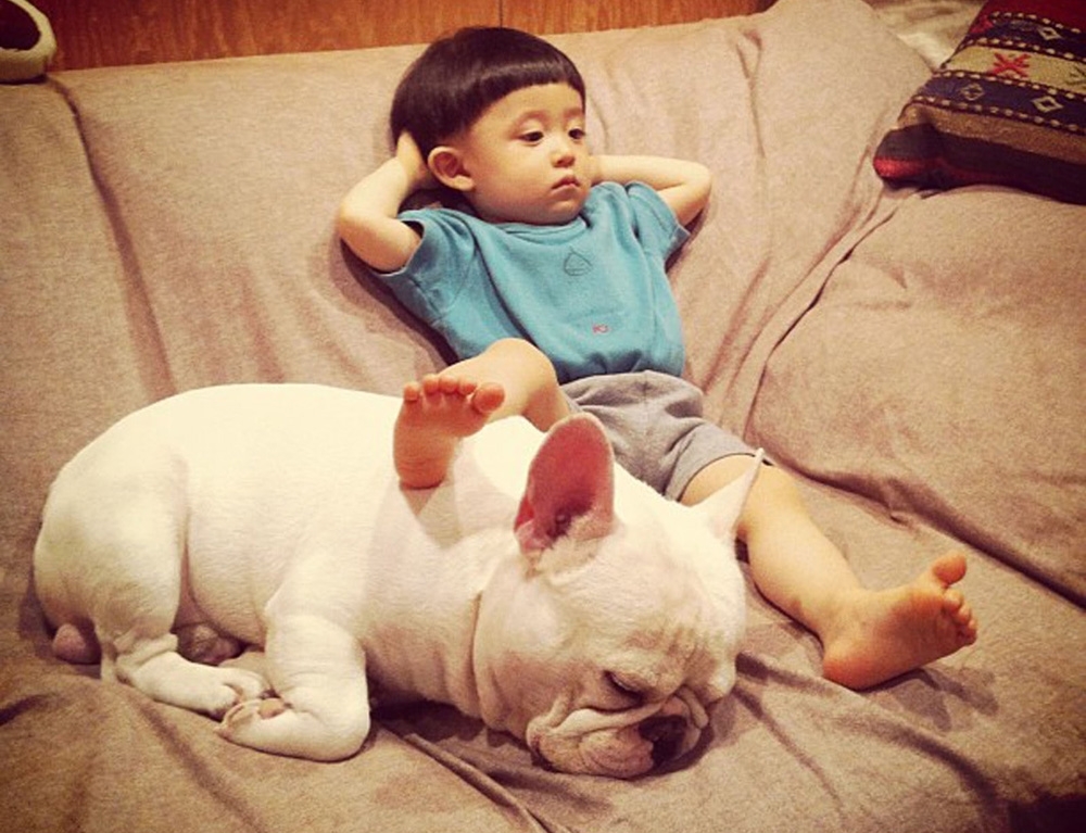 Lợi ích bất ngờ khi cho trẻ tự kỷ chơi với thú cưng